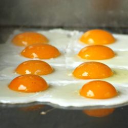 tojás világnapja