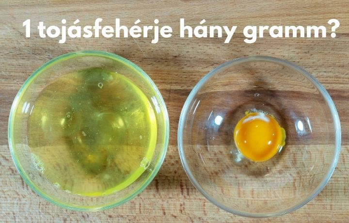 1 tojásfehérje hány gramm
